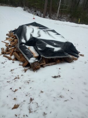 IMG_20260402_104819626_HDR.jpg IMG_20260402_104819626_HDR.jpg