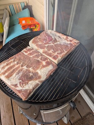 PXL_20260404_163242492.MP.jpg PXL_20260404_163242492.MP.jpg