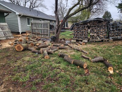 20260401_171833.jpg 20260401_171833.jpg