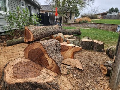 20260401_171851.jpg 20260401_171851.jpg