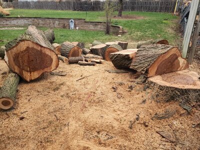 20260401_171902.jpg 20260401_171902.jpg