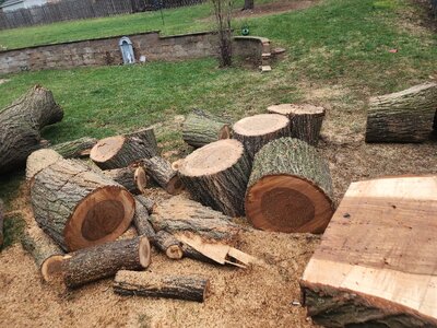 20260401_171908.jpg 20260401_171908.jpg