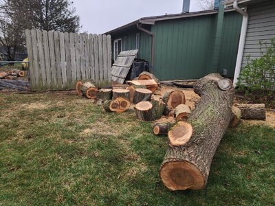 20260401_171925.jpg 20260401_171925.jpg