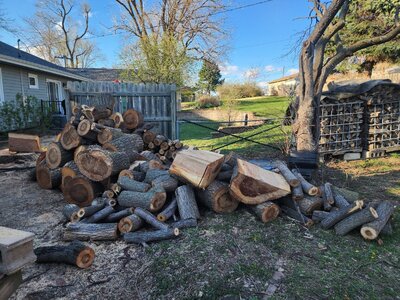 20260405_180433.jpg 20260405_180433.jpg