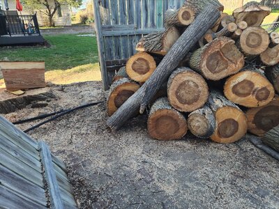 20260405_180447.jpg 20260405_180447.jpg