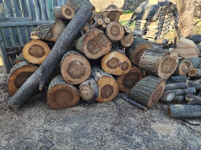 20260405_180451.jpg 20260405_180451.jpg