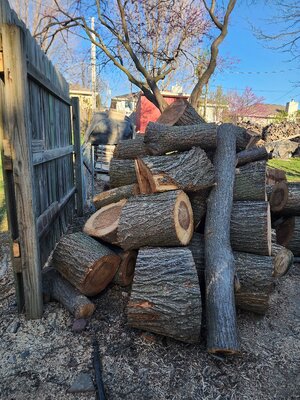 20260405_180501.jpg 20260405_180501.jpg