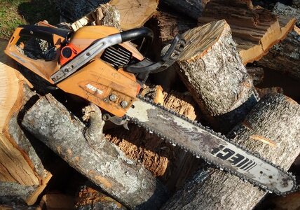 DSC03533 (1280x898).jpg