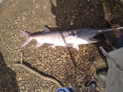 IMG_20260412_152313.jpg IMG_20260412_152313.jpg