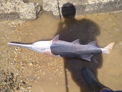 IMG_20260412_150519_1.jpg IMG_20260412_150519_1.jpg