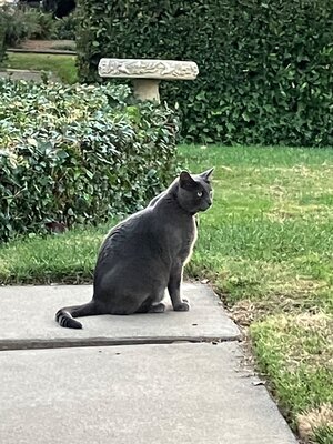 IMG_2528.jpeg