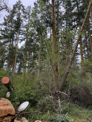 IMG_0596.jpeg