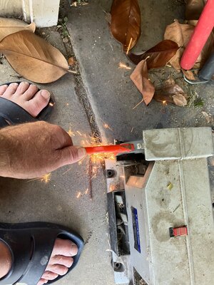 IMG_3740.jpeg