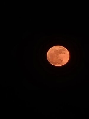 20260501_205953.jpg
