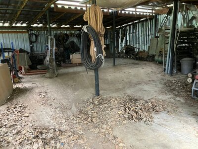 IMG_3352.jpeg