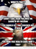 funny-couldnt-hear-sound-freedom-free-healthcare-uk-usa-eagle-pigeon-pics.jpg