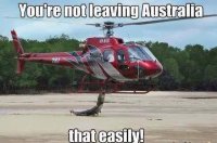 Australia-Meme-15.jpg