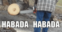 Habada.gif