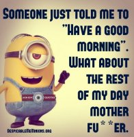 Funny-Morning-Quotes-Someone-told-me-to-have-a-good-morning.jpg