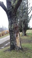 20170115_164309.jpg