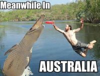 Meanwhile-in-Australia-2.jpeg