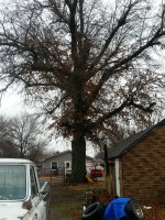 20170122_151927.jpg