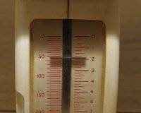 _DSC3391.jpg