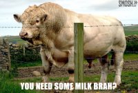 Need some milk . Found it on Smosh.com_739a1a_3938215.jpg