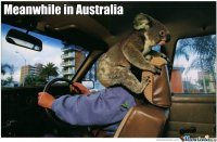 meanwhile-in-australia_o_161679.jpg