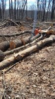 20160319_134141.jpg