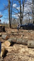 20160319_134158.jpg