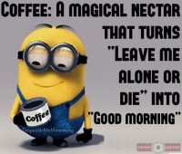 1265145233-top-30-funny-good-morning-quotes-life.jpg