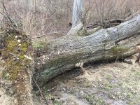 IMG_2835.JPG