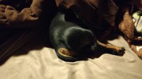 IMG_20170204_221651852.jpg