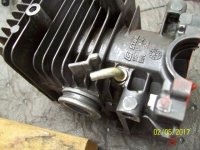 100_8858.JPG
