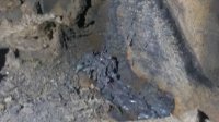 20170206_220202.jpg