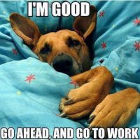 29-1427946041-14-151655-Dog-In-Bed.jpg