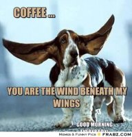 frabz-COFFEE--You-are-the-wind-beneath-my-wings-Good-Morning-Everybody-0816a5.jpg