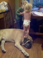 dog-kid-10.jpg