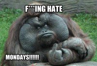 Hilaruois-Funny-Monday-Memes-Images-3.jpg