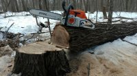 rps20170213_065805.jpg