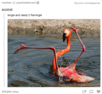 bByi6Sx.png
