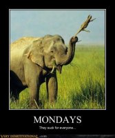 funny-monday-pictures-15.jpg
