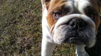 20170215_134513.jpg