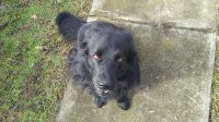 20170116_104859.jpg