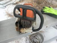 DSCN7348.JPG