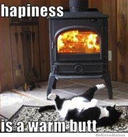 happiness-is-a-warm-butt.jpg