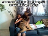 f7eec7cb8309ec3965272e40c17ba7ac.jpg