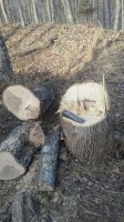20170218_092603.jpg