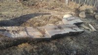 20170218_094031.jpg